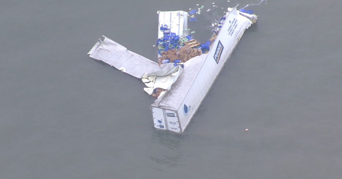 Bay Bridge Accident: Perdue Driver Identified After Plunge