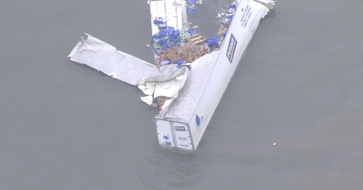Update: Perdue Truck Driver Identified in Chesapeake Bridge Plunge